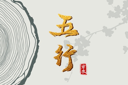 易安居紫薇排盘,排命盘,紫薇星斗数命盘,排紫微斗数命盘